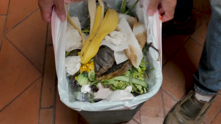 Best Yard Waste Removal  in Leon, IA